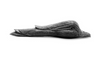 AS Batle Company - Small Duck Graphite Object