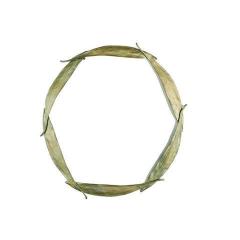 Silver Seasons by Michael Michaud - Eucalyptus Long Leaf Collar