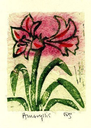 Salmonberry Studio - Amaryllis Note Card