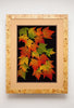 Leaf Lines - Extra Large Red Maple Shadow Box